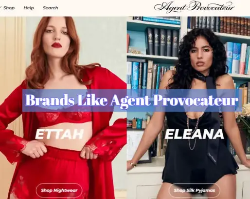 Brands Like Agent Provocateur