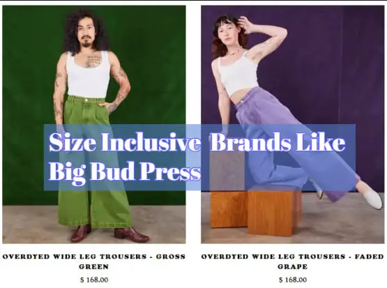 Brands Like Big Bud Press