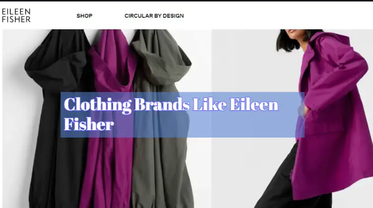 Brands Like Eileen Fisher